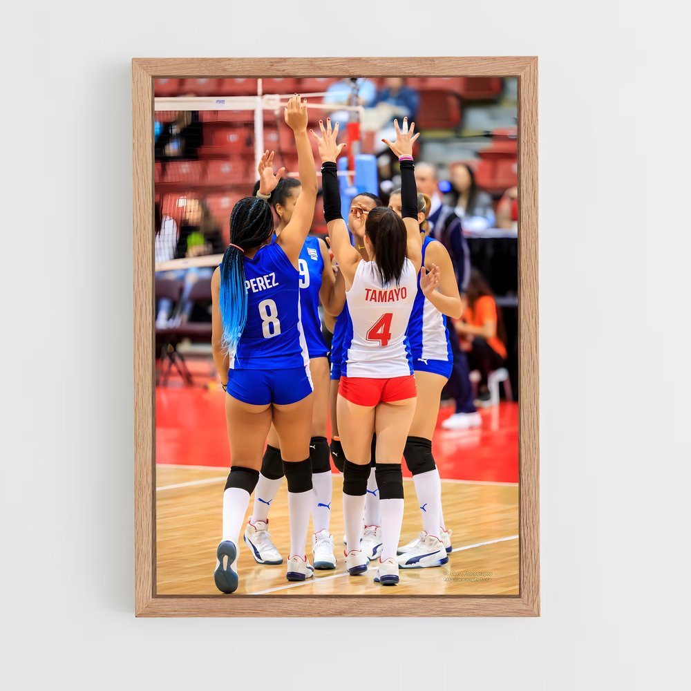 Poster Célébration sur le Sable – affiche Beach-volley (vue 4)